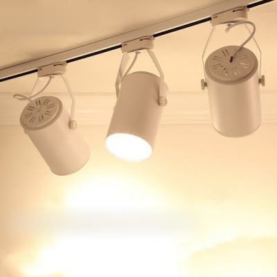 Mẫu đèn rọi ray