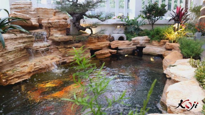 Hồ koi cho sân vườn Nhật
