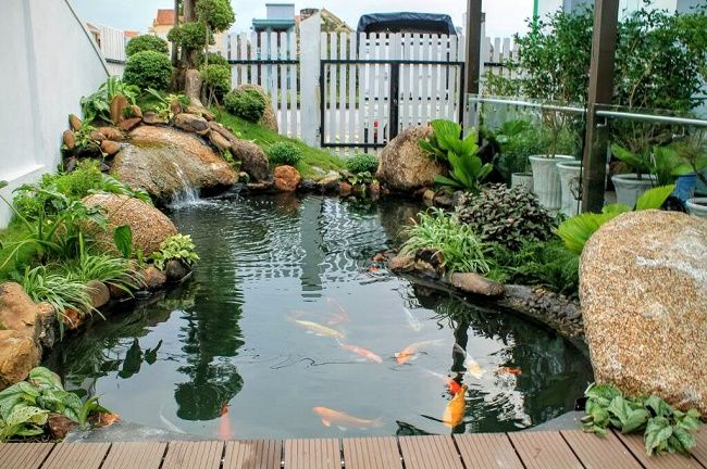 Theo phong thủy, hồ cá trước nhà sẽ giúp thu hút vượng khí cho gia chủ