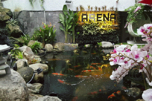 Mẫu hồ cá koi đẹp cho không gian sân vườn rộng